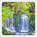 Suche nach regenwald aufkleber Frösche