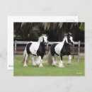 Suche nach zusammen postkarten Schwarz weiß