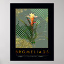 Suche nach bromeliad poster Botanisch