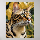 Suche nach bengalische katze poster Katzen