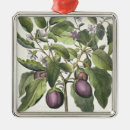 Suche nach 17 jahrhundert ornamente Deutsch