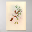 Suche nach hummingbird poster Flowers