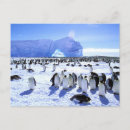 Suche nach antarktische halbinsel poster Pete oxford