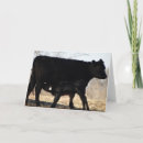 Suche nach kalb karten Fotografie