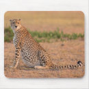 Suche nach tierfotos mousepads Wildtiere