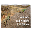 Suche nach tiere kalender 2026