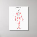 Suche nach ärzte leinwandbilder Anatomie