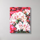Suche nach rosa azaleen poster Leinwand