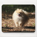 Suche nach gefallen mousepads Herbst