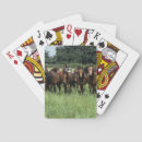 Suche nach grass spielkarten Thoroughbred