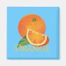 Suche nach orange scheibe magnete Nahrung