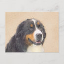 Suche nach berner sennenhund postkarten Welpe