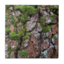 Suche nach natürliches muster fliesen Rinde