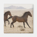 Suche nach namib magnete Wüste
