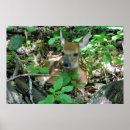 Suche nach kitz poster Rotwild