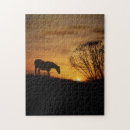 Suche nach sonnenuntergänge puzzle Südwesten