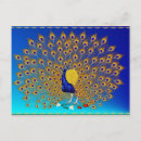 Suche nach pfau schwanz postkarten Irisierend