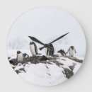 Suche nach pinguin wanduhren Weiß