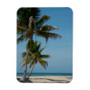 Suche nach caye magnete Belize