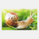 Suche nach schnecken aufkleber Schlampe