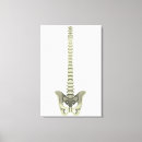 Suche nach rückgrat poster Illustration