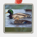 Suche nach stockenten schmuck Weihnachten