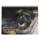 Suche nach schnauzer kalender Standard