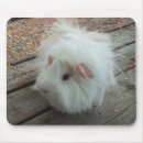Suche nach meerschweinchen mousepads Guinea