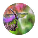 Suche nach maler schneidebrettchen Künstlerisch