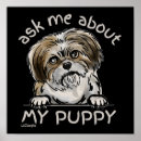 Suche nach lustige hunde poster Spaß