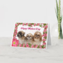 Suche nach shih karten Niedliche hunde