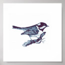 Suche nach niedliche vögel poster Natur