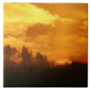 Suche nach naturen fliesen Wald