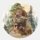 Suche nach irish setter aufkleber Jagd