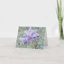 Suche nach pistil Flora