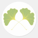 Suche nach ginkgo aufkleber Gingko
