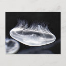 Suche nach jellyfish postkarten Fisch