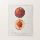 Suche nach pfirsich puzzle Obst