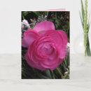 Suche nach red roses karten Blume