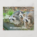 Suche nach lustige tiere postkarten Wildtiere
