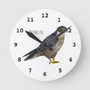 Suche nach raubvogel wanduhren Wanderfalke