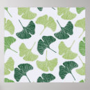 Suche nach ginkgo poster Darstellung