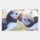 Suche nach papageientaucher aufkleber Vogel