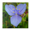 Suche nach blühende pflanzen fliesen Blüte