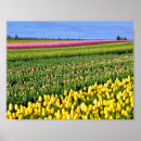 Suche nach farbiger himmel poster Landschaft