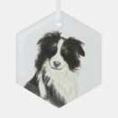 Suche nach collie ornamente Tier