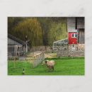 Suche nach dodge postkarten Pferd