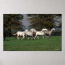 Suche nach araber poster Gruppe