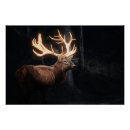 Suche nach deere poster Hirsch