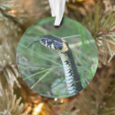 Suche nach schlangen ornamente Tierwelt